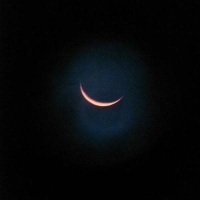 devnest2's profile picture. Nothing