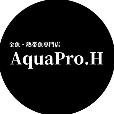 金魚・熱帯魚専門店AquaPro.Hさんのプロフィール画像
