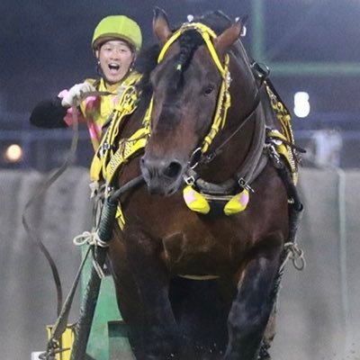 いつかばん馬に関わる仕事を……。 サロマタイショウとフクノカミカゼ産駒、時々北見産駒