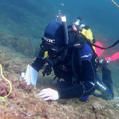 Biologoa, Naturzalea, Historiazalea, eta Istoriozalea.
https://t.co/crL97UyrWO