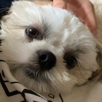 みらん (@ariketchup) Twitter profile photo
