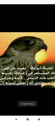 امير العشاق