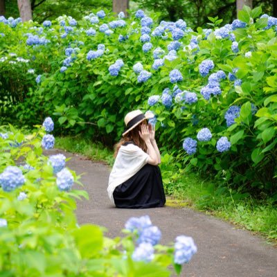 ぱんださんのプロフィール画像