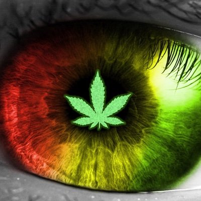 LiftedLegend5's profile picture. 18YearsStoned,Stay lifted always boys and girls,Stay shnazzy as well,follow my YouTube 🌴🍕They need an emoji for pizza bagels.Follow me on IG lifted420legend.