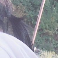 ろぢ@🙂‍↕️富士コス🙂‍↕️ (@nijiroji) Twitter profile photo