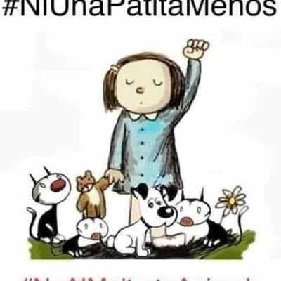 100% 🐕🐶💕, por un México justo, cero violencia, ANTIAMLO - ANTIMORENA