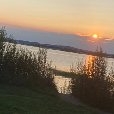 Sickomode18302's profile picture. yes