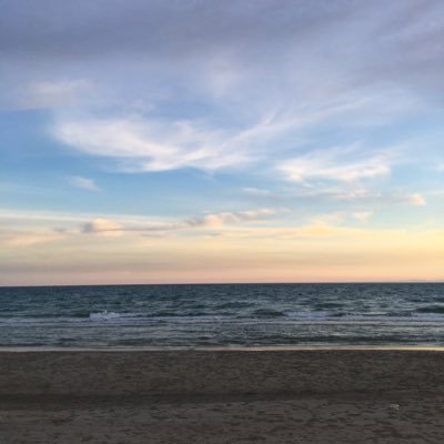 Themoonsflower3's profile picture. 