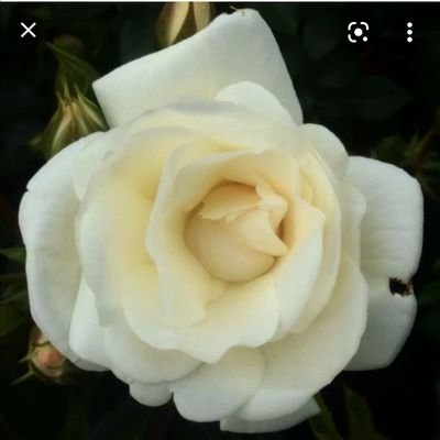 Kim31397773's profile picture. 