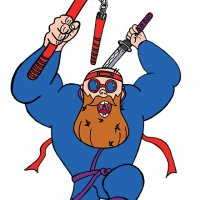 Bearded Ninja (@beardedninjauk) 's Twitter Profile