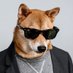 TREBLE DOG 🏆 🏆 🏆 10.06.23 (@vancityjs) Twitter profile photo