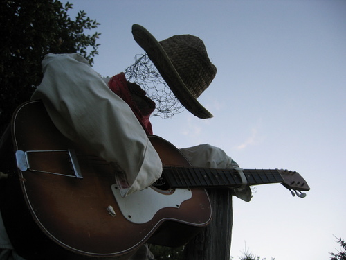 Montreal FoLk, Bluesy, Dirty County Rocky Poppy oLd goLd SouLs out to tame the beast and melt the coLd hearts~