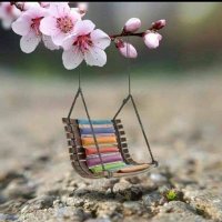 Magda Noor (@magdanoor5) Twitter profile photo