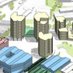 Murphy’s Yard Community Plan (@murphynw5) Twitter profile photo Murphy’s Yard Community Plan (@murphynw5) Twitter profile photo
