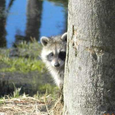 interestedcoon's profile picture. 5643 yeah right 👍