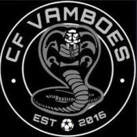 CF Vamboes (@cvamboes) 's Twitter Profile