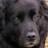 millerholzer's profile image