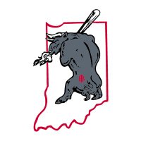 Indiana Bulls North Black 15u (@in_bulls14north) 's Twitter Profile Photo Indiana Bulls North Black 15u (@in_bulls14north) 's Twitter Profile Photo