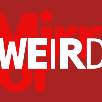 Official Daily Mirror Weird News account  👀 👽
Follow @DailyMirror for more in depth news updates 🗞️
@MirrorSport for sports 🏅
@MirrorCelebs for showbiz ✨