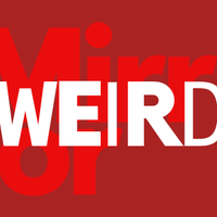 Mirror Weird News (@mirrorweirdnews) 's Twitter Profile