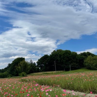 会社立ち上げています。 https://t.co/g3n3VOdjQr こちらはプライベートな日常を密かにツイートしていけたらと思います！ こちらも、会社Twitterもフォロワー募集してます！ポケモン リザードン メルカリアンバサダー ポケモンスリープ マクロスF無言フォロー失礼致します。