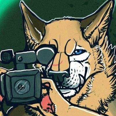 30, Male Canadian coyote. Living in Vancouver area. Loves games, D&D, game design, and photography. 

Busy running a business