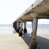 Malcolm x (@muluka_martin) 's Twitter Profile