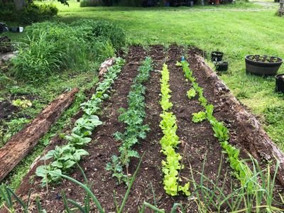 icxcnika7's profile picture. Fancy title