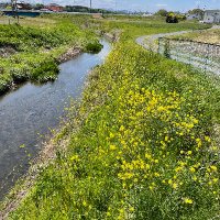 野鳥の写真 (@ibis_bird_) 's Twitter Profile