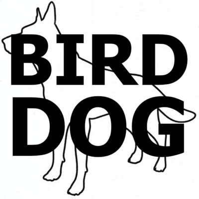 BirdDogPromo's profile image