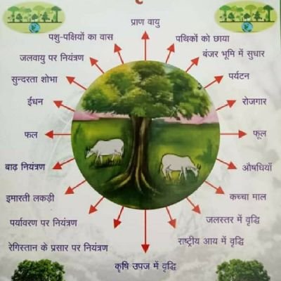 DrVibhaRSharma1's profile picture. 