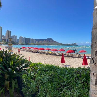 hedonova's profile picture. Boston Yank in Washington State. Always hopeful.