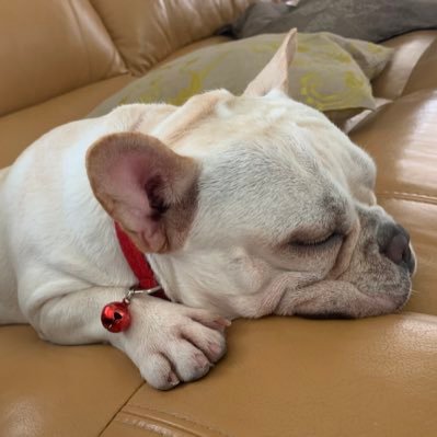 yacihuang's profile picture. 