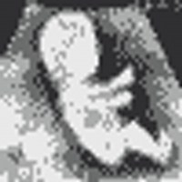 Eugene Waddell (@bluedelb) 's Twitter Profile