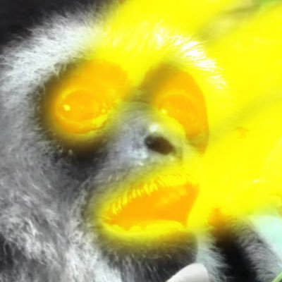 47paireye's profile picture. jerky ape