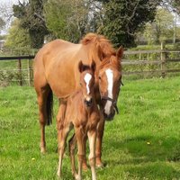 Ashgreen stud (@ashgreenstud) 's Twitter Profile Photo Ashgreen stud (@ashgreenstud) 's Twitter Profile Photo