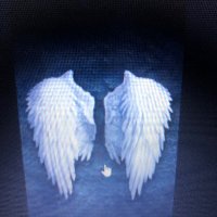 Mert koyar (@mertkoy09365462) Twitter profile photo