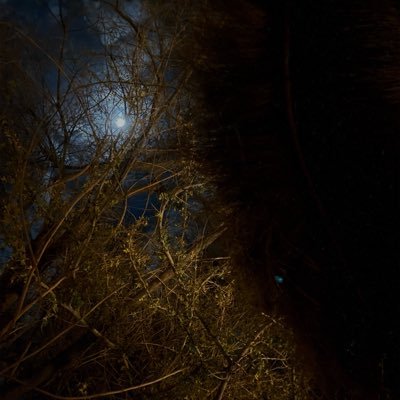 michelle_axm's profile picture. 