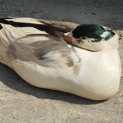 mafgh555's profile picture. 