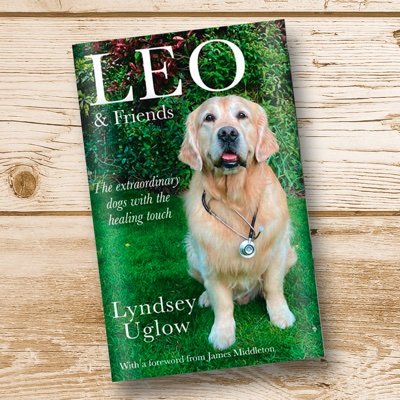 Winner Kennel Club Friends for Life 2020. @sotonchildhosp therapy dogs. Author of Leo & Friends book - click here https://t.co/nj4WRgU7z0