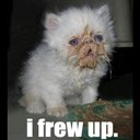 Ron O'Dell - @RonODell93 - Twitter