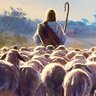 jmj_judy's profile picture. faithful sheep;
Co-Founder of St. Monica Academy and Co-Founder of The Good Shepherd Academy both classical liberal arts academies in the Catholic tradition.