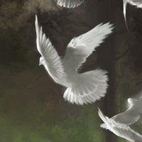 FreeBird (@uncageddove) 's Twitter Profile Photo FreeBird (@uncageddove) 's Twitter Profile Photo