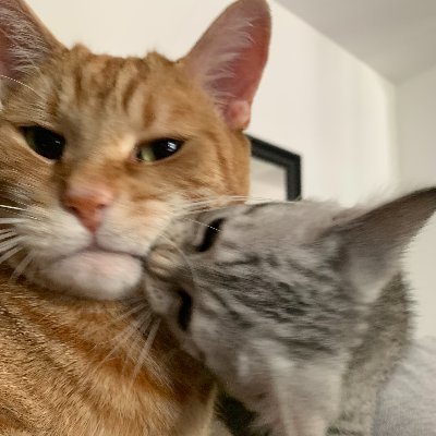 carbonfnyt's profile picture. 700$ | 🇨🇦