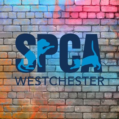 SPCAwestchester Profile Picture