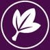 Ivy Road 🍵 Wanderstop OUT NOW (@ivyroadgames) Twitter profile photo Ivy Road 🍵 Wanderstop OUT NOW (@ivyroadgames) Twitter profile photo