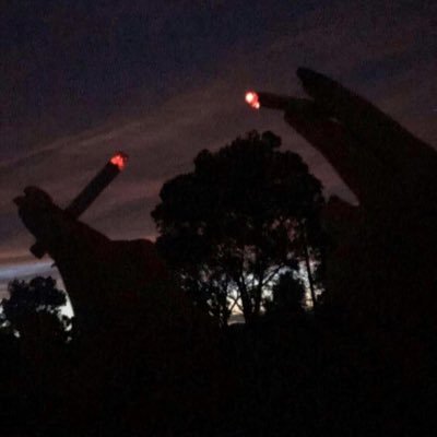 AlecKozlov's profile picture. $SHIRO