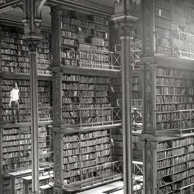 Alfols's profile picture. Malalt dels bons llibres.Sabadellenc a Terrassa 💪💪. Arquitecte Tècnic. De sang arlequinada. Carpe diem!