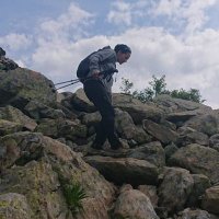 Fra (@francarci) 's Twitter Profile