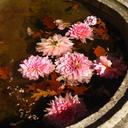 Kara McAllister - @Emrld_Aphrodite - Twitter